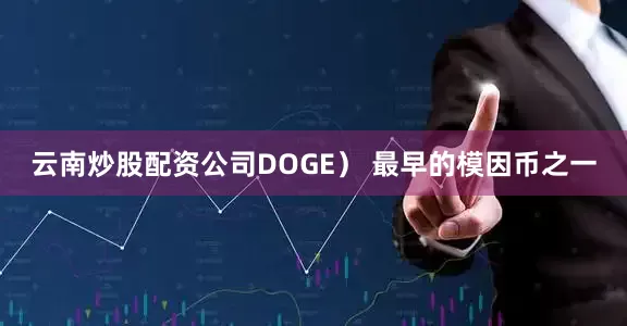 云南炒股配资公司DOGE） 最早的模因币之一