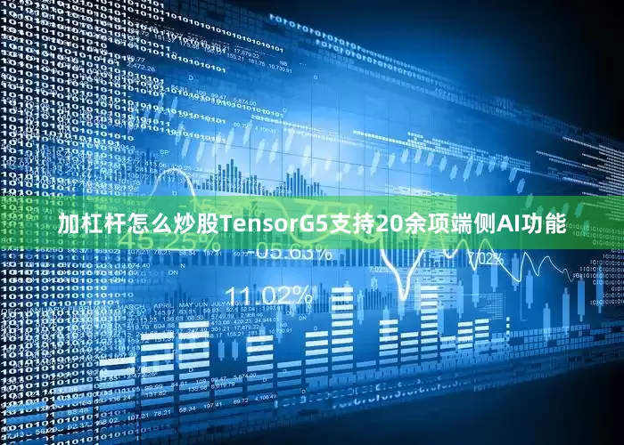 加杠杆怎么炒股TensorG5支持20余项端侧AI功能